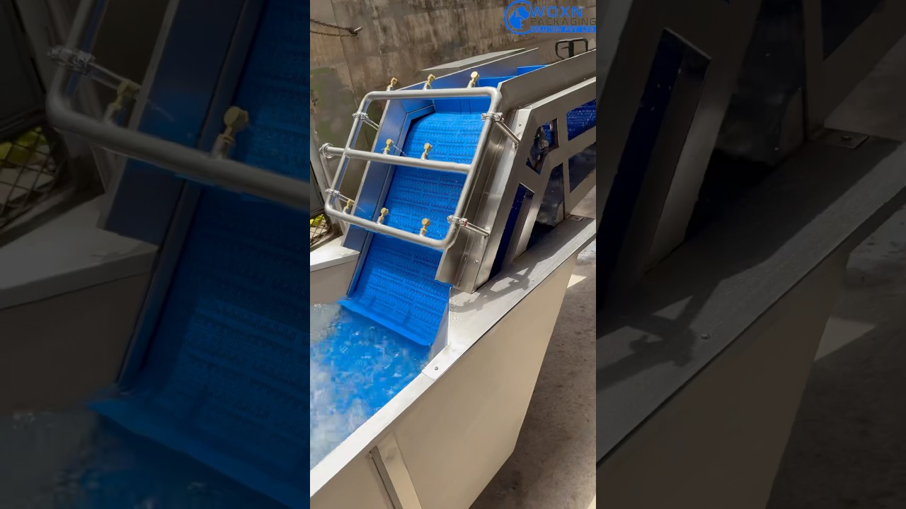 FRUIT & VEGETABLE BUBBLE TYPE CONVEYOR WASHER #foodmachinery #machine #reels #trendingshorts #views