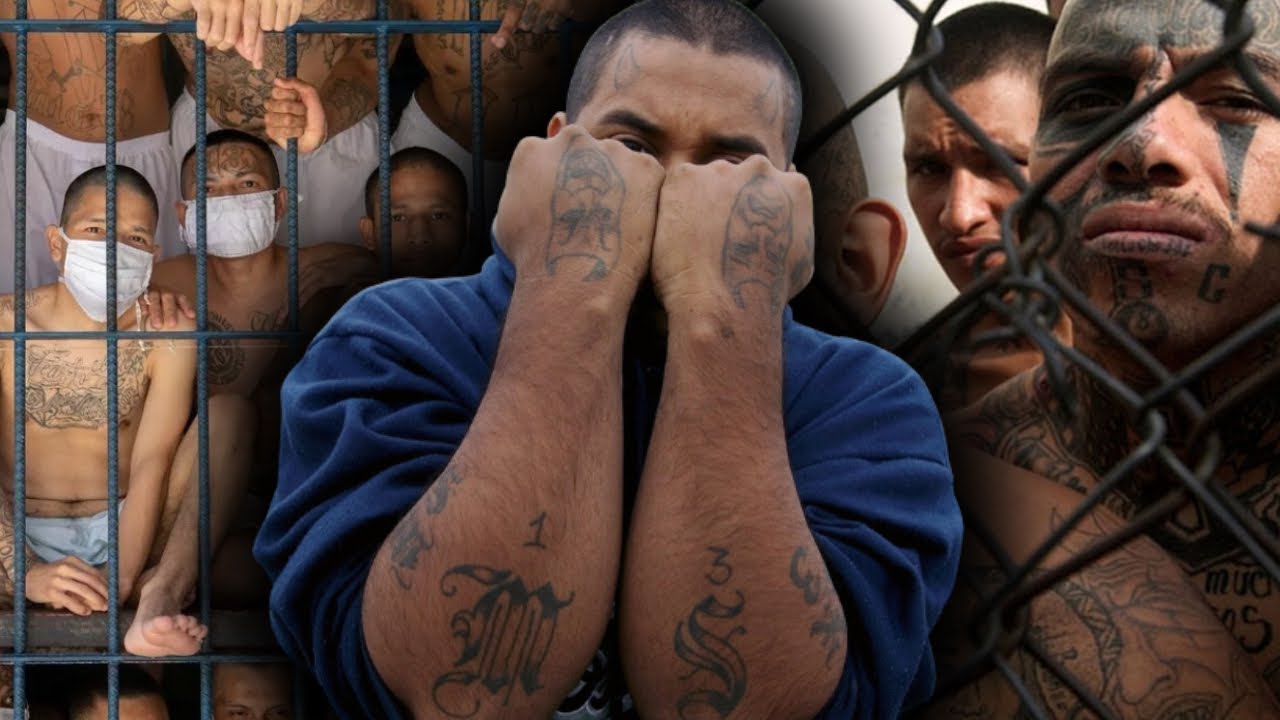 The Story of MS-13's Fulton Locos Clique 