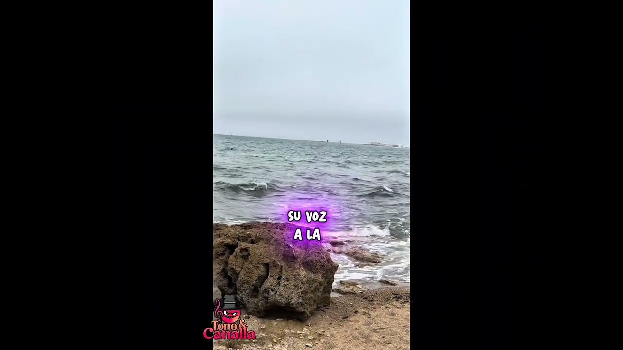 Cádiz Va De Romería