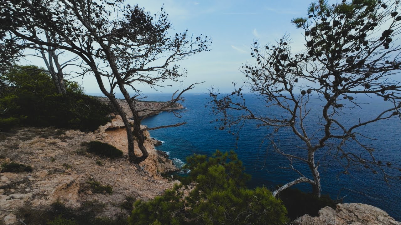 Mallorca Na Divoko