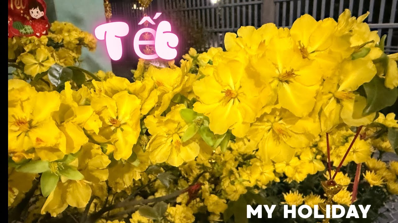 Tag 12-13: Tết Nguyên Đán | Vietnamese Lunar New Year 