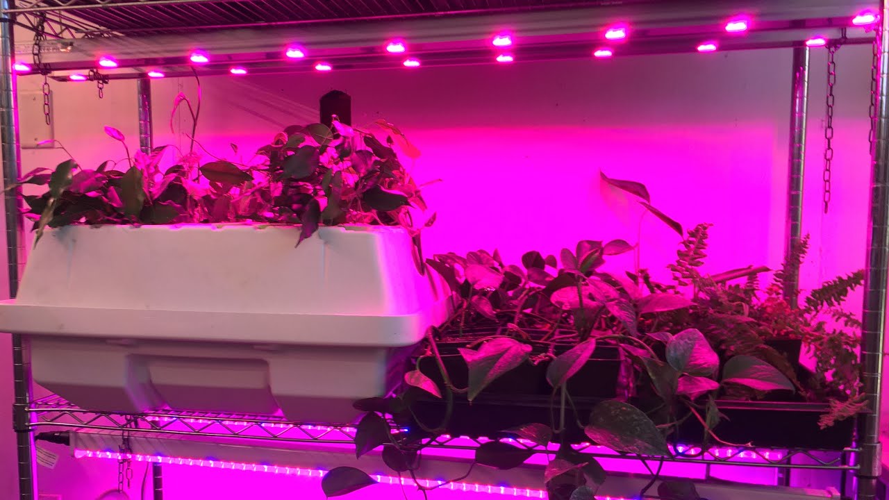 Our New Plant Propagation Station: Setting Up the EZ Clone 64 Low Pro