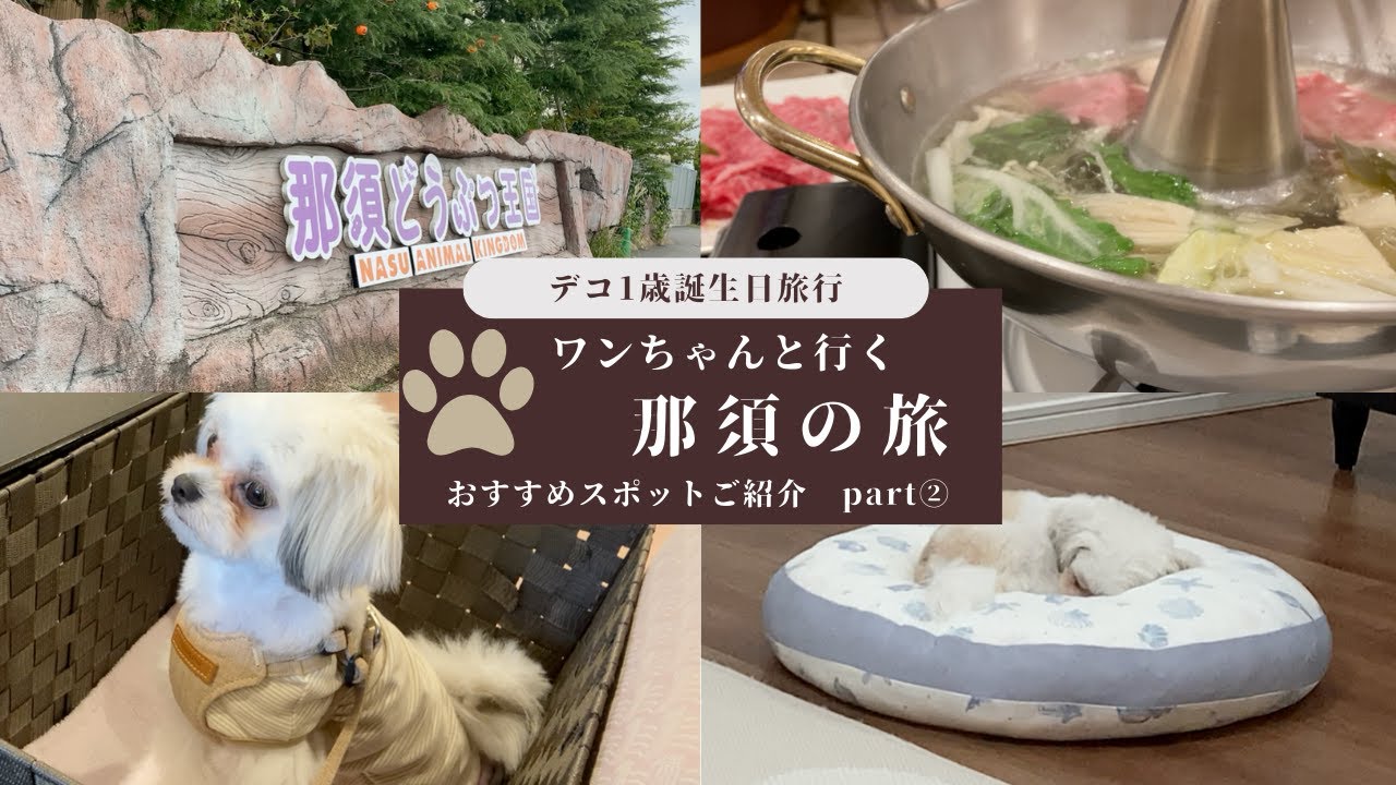 マルチワ　デコ物語　那須の旅完結編　ワンチャンと行く那須のおすすめスポット紹介　ワンチャンとの旅でたくさん勉強になりました