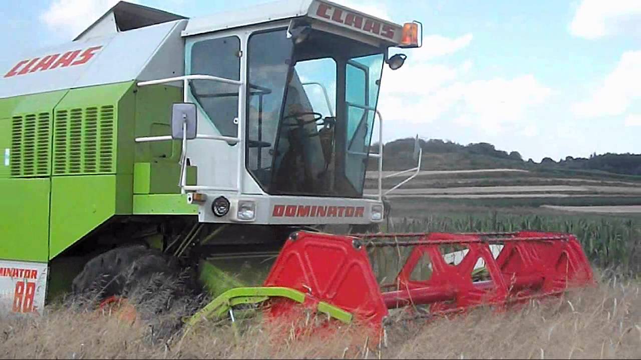 Pierwsze kłosy - Żniwa 2013 / Claas Dominator 88s
