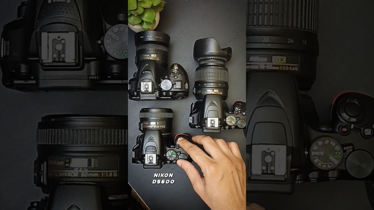 Nikon D5600 vs Nikon D5300 vs Nikon D3500 #shorts #camera #nikon
