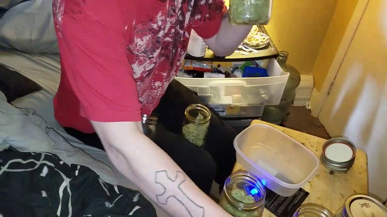 WEIGH IN (Super Sour Jack Diesel) 7 Oz all together