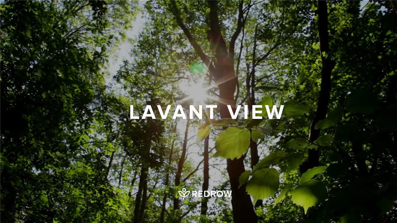 Welcome to Lavant View | New Redrow homes available in Chichester