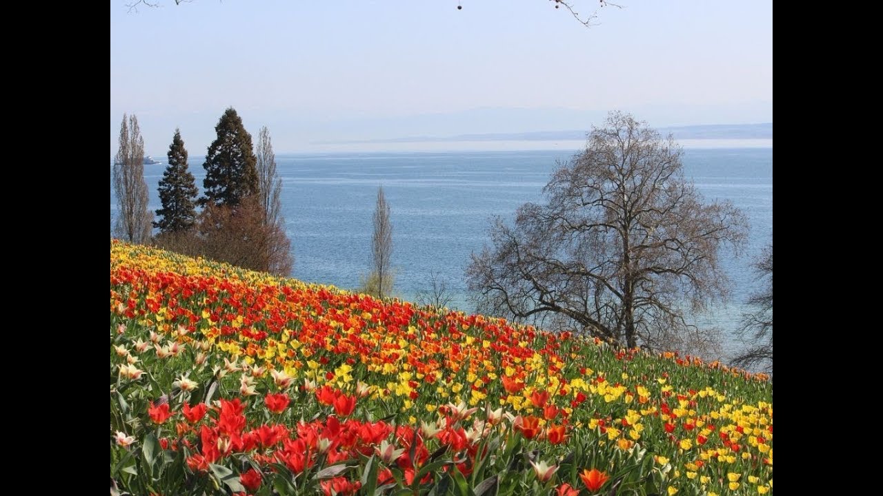 The Island of Flowers, Mainau, Lake Constance, Germany