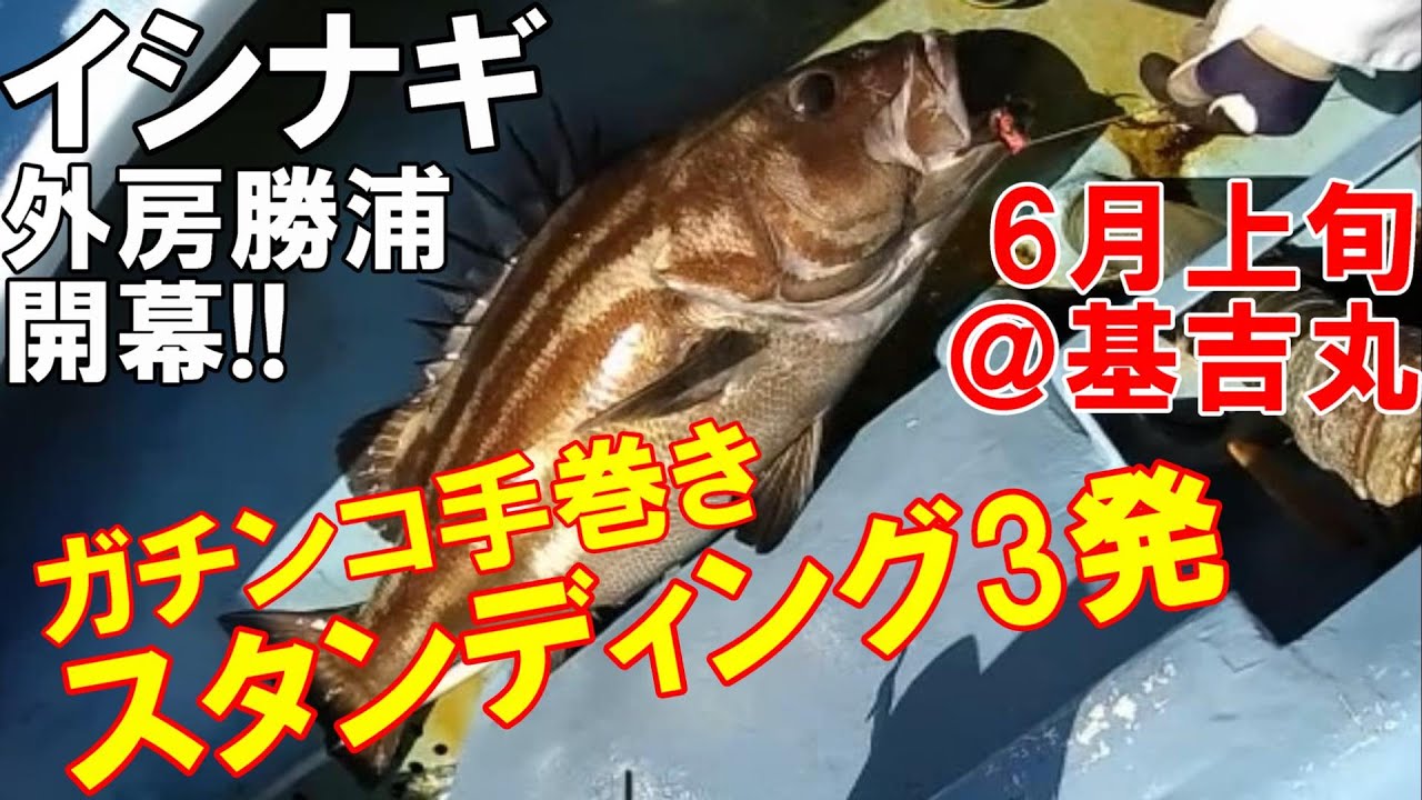 【イシナギ釣り】ヤリイカ泳がせでガチンコ手巻きスタンディングファイト3発KO@外房勝浦 基吉丸 2022年6月上旬