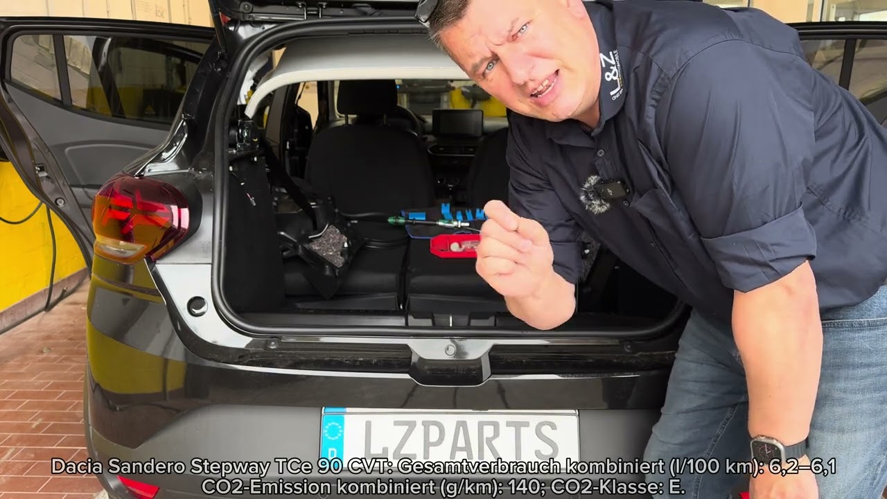 Dacia Sandero III Wechsel zur Shark Haifisch Antenne