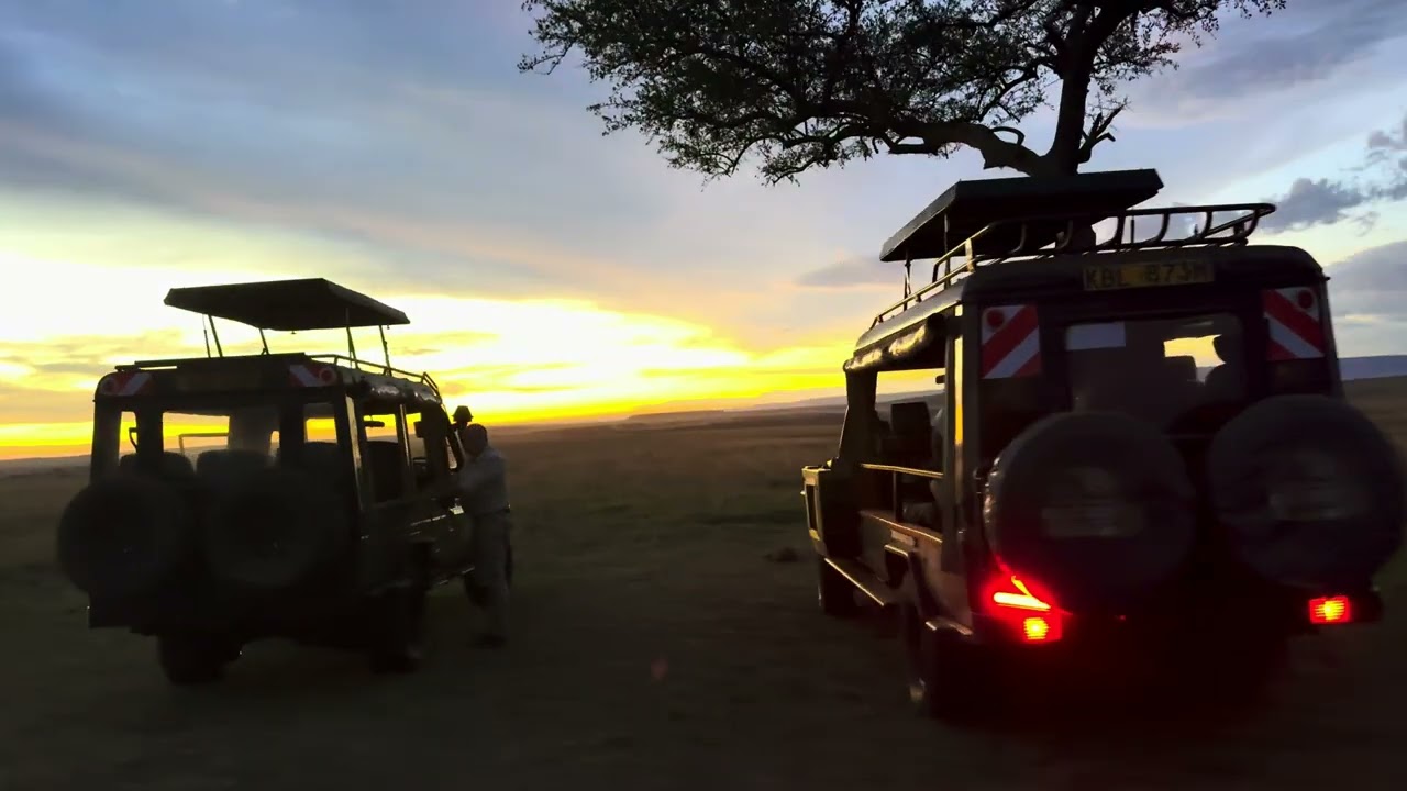 ... unterwegs in der Maasai Mara ...
