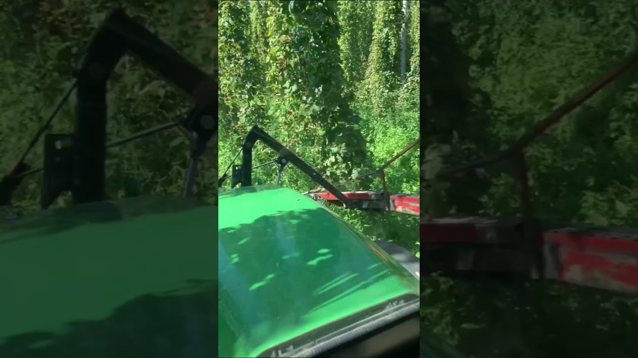 Hoffentlich wird dieses Jahr nicht so Nass #hopfen #johndeere #farming #agriculture #landwirtschaft