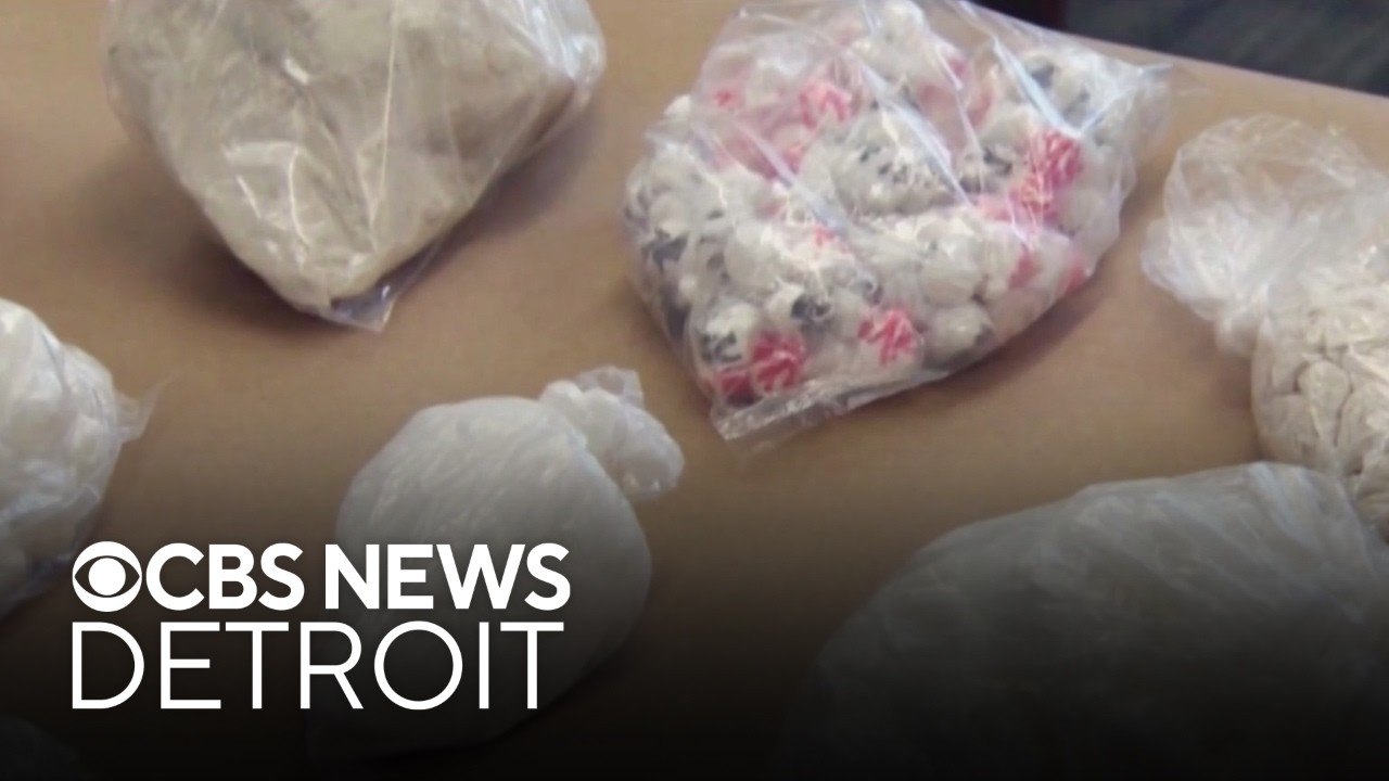 Experimental fentanyl vaccine showing promise