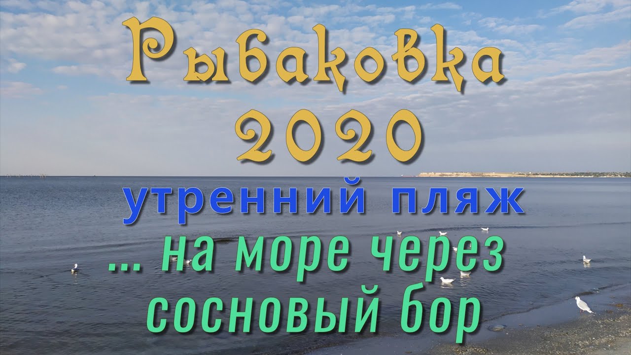 Рыбаковка 2020 идем на пляж