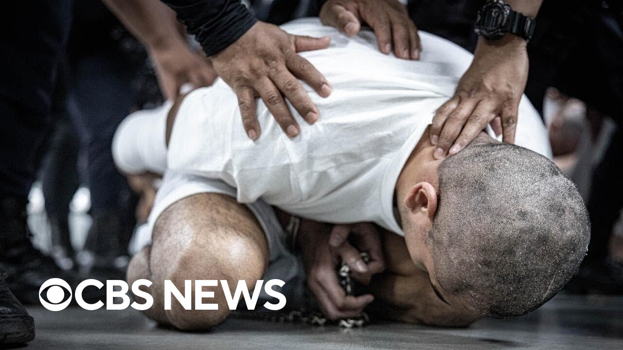 Trump faces dozens of immigration lawsuits after using Alien Enemies Act to deport migrants
