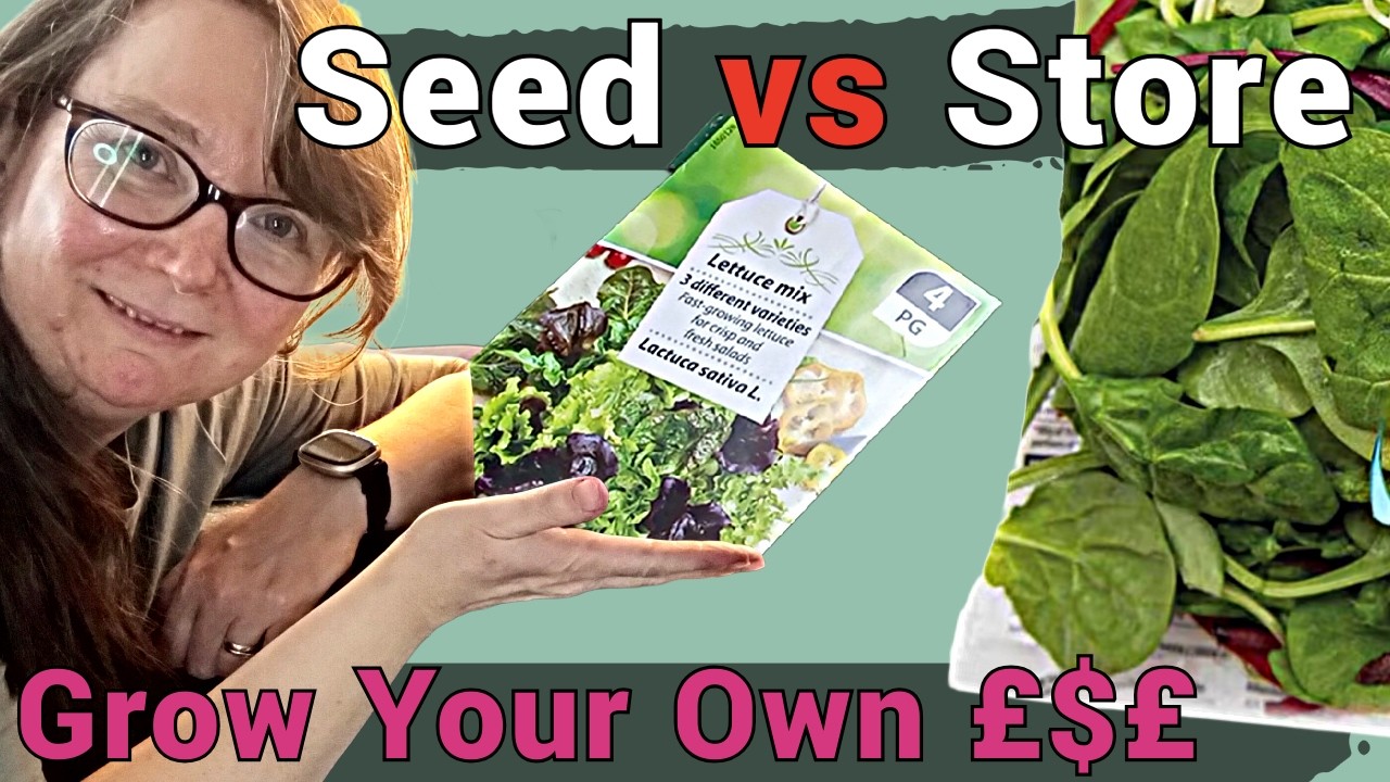 I Tested Growing Salad Leaves at Home | Worth It or Waste of Money?