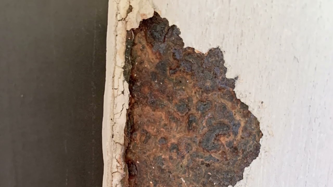 ✅se puede reparar PUERTA de NEVERA OXIDADA❄️