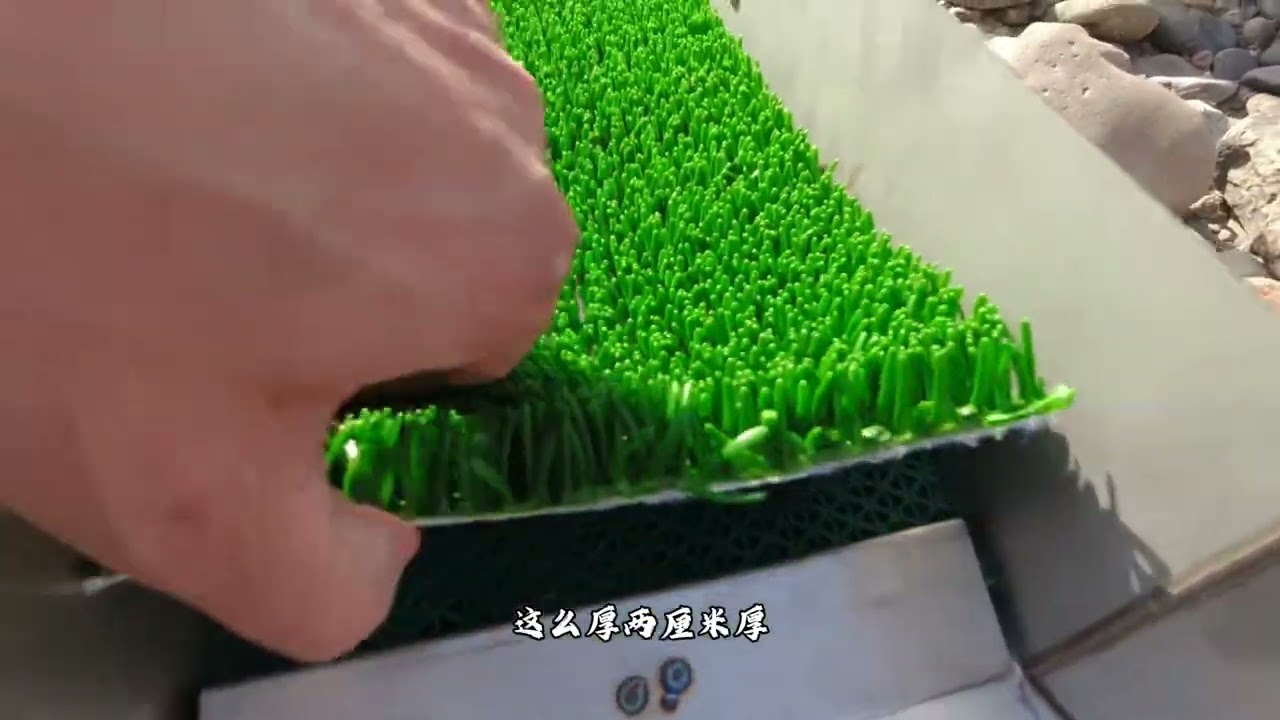 几百年前古人淘金的河道，还有资源吗？#手工淘金溜槽 #淘金地点 #淘金古河道 #淘金工具