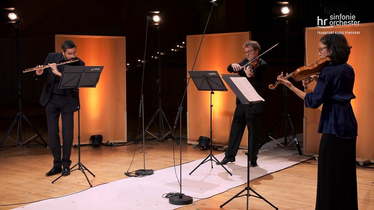 Beethoven: Serenade D-Dur op. 25 ∙ Wittiber ∙ Mercer-Niewöhner ∙ Niewöhner