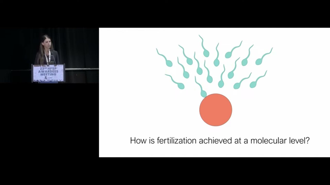 A CONSERVED FERTILIZATION COMPLEX BRIDGES SPERM AND EGG IN VERTEBRATES