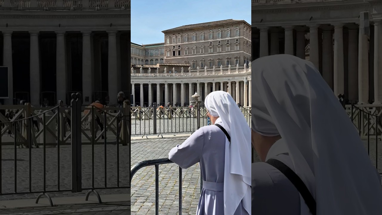 Papa Francesco 🙏🏻🕊️#papafrancisco #vaticano #vatican_city #pope #vaticanonews