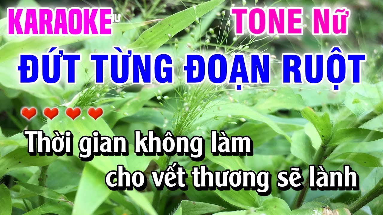 Karaoke Đứt Từng Đoạn Ruột  - Tone Nữ -  Dễ Hát - Nhạc Sống Linh Như