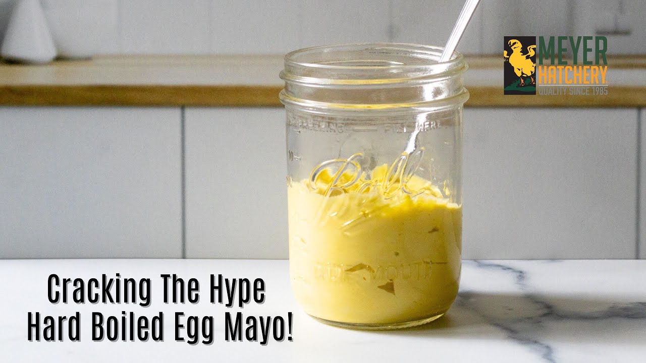 Cracking the Hype - Hard Boiled Egg Mayo Alternative!