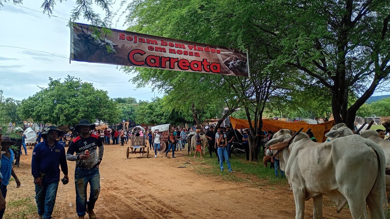 CARREATA da fazenda BARRA Santa Luzia Urandi BA sudoeste baiano Robert Silva #napegadadosertão 