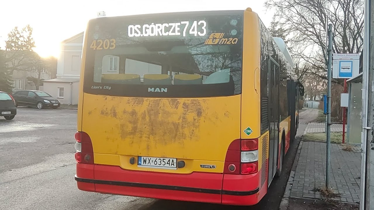 Linia 743 ( Wolica Koło Płochocina ) - MAN Lion's City CNG #4203 ( MZA Warszawa )