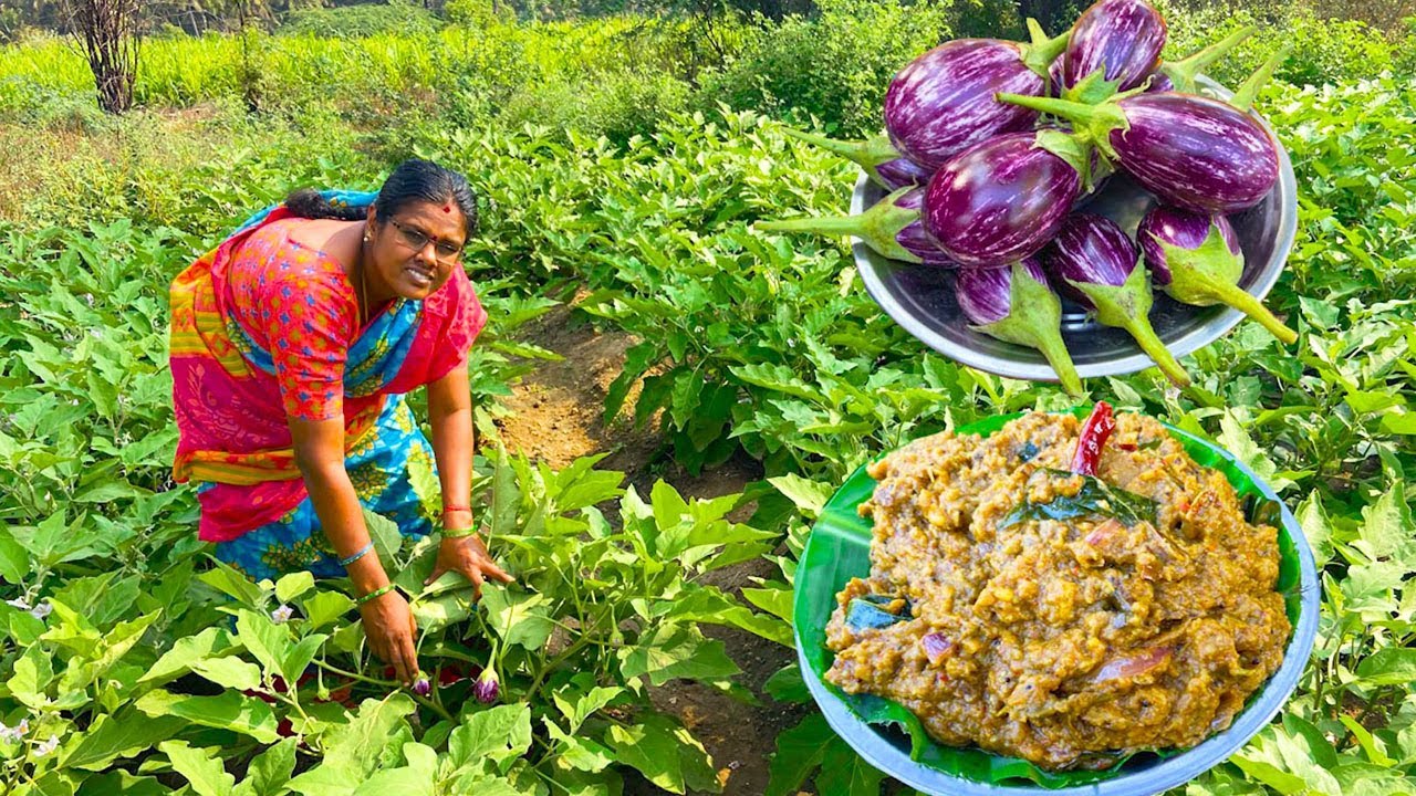 கத்திரிக்காய் புளி  தொக்கு / சுடு  சாதம் - இட்லி - தோசைக்கு செமையா இருக்கும் / Brinjal Thokku