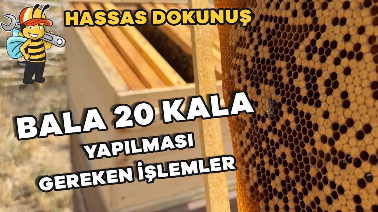BALA 20 KALA YAPILMASI GEREKEN İŞLEMLER - HASSAS DOKUNUŞ