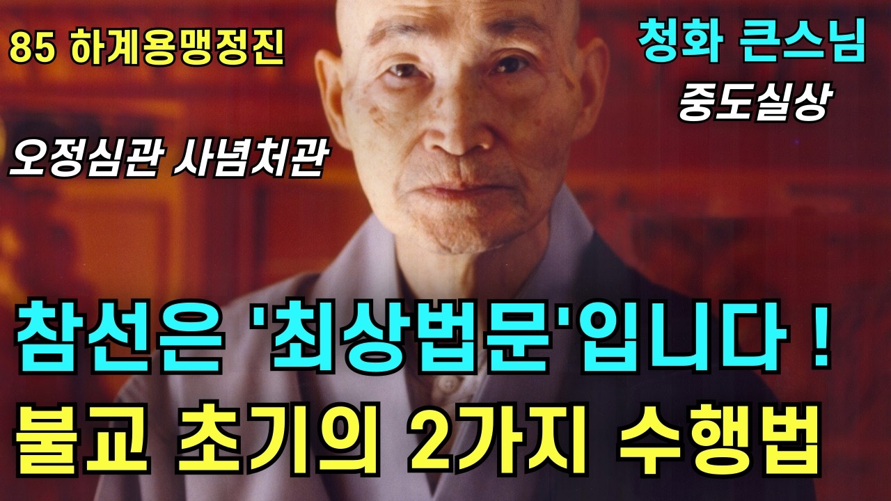 불교 초기에 석가모니 부처님께서 중생들을 가르치신 수행법 오정심관 사념처관 | 참선은 최상법문 |청화스님 법문