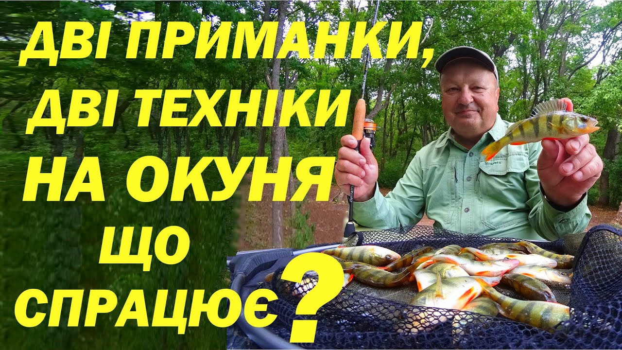 Як ловити окуня влітку на великій воді? Дві найкращі приманки на окуня та дві техніки мікроджигу