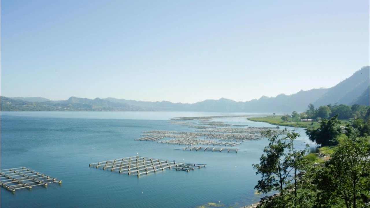 Bali Water Protection: Save Water, Save Bali