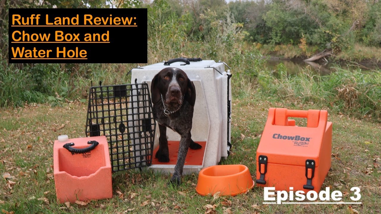 Must Have Gear for Dog Owners | Ruff Land Chow Box and Water Hole Review