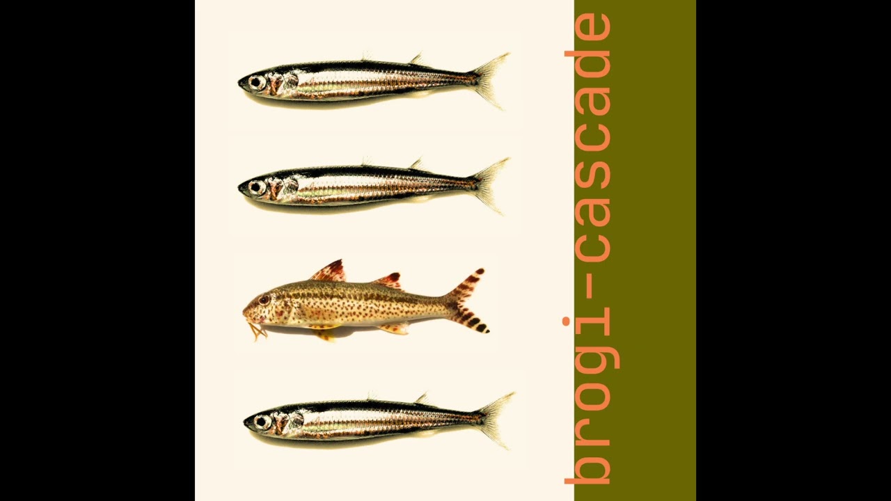 brogi - cascade (original song)