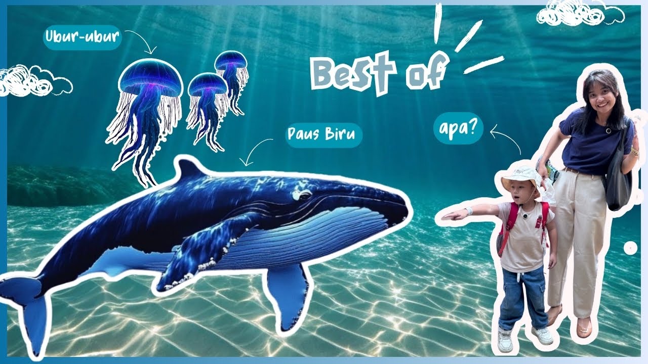 NONTON VIRTUAL AQUARIUM 🐳 ECO ACTIVE PARK PART 2 ‼️‼️
