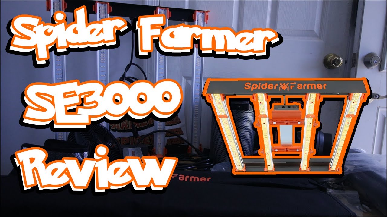 ОБЗОР СВЕТОДИОДНОГО СВЕТИЛЬНИКА ДЛЯ РАСТЕНИЙ Spider Farmer SE3000