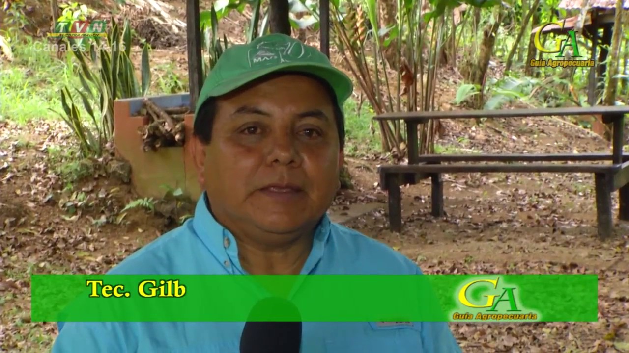 Guia Agropecuaria El Ariete Universal
