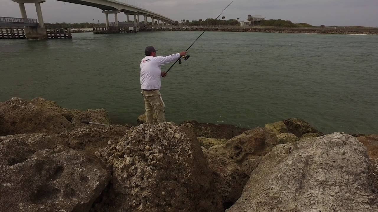 Flatt Shad 2017
