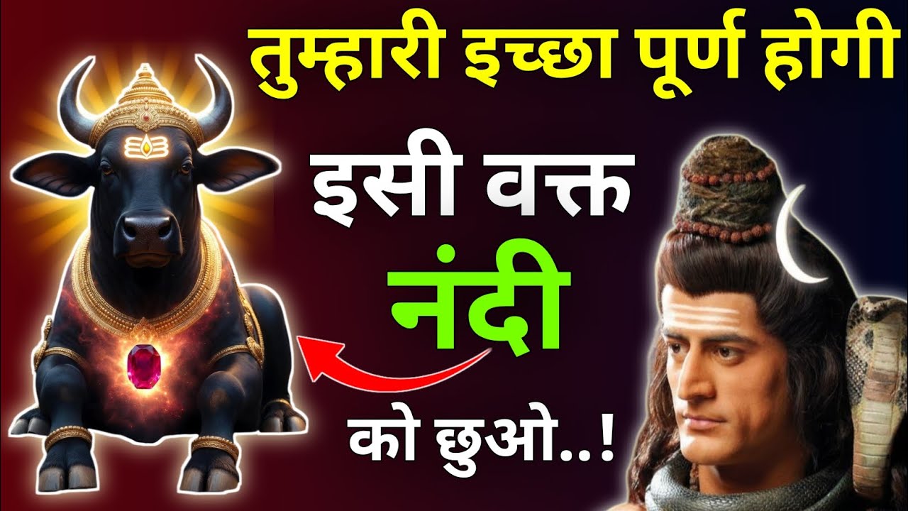 तुम्हारी इच्छा पूर्ण होगी इसी वक्त नंदी को छुओ |Mhadev Updesh |Mhadev Vichar |Mhadev Gyan