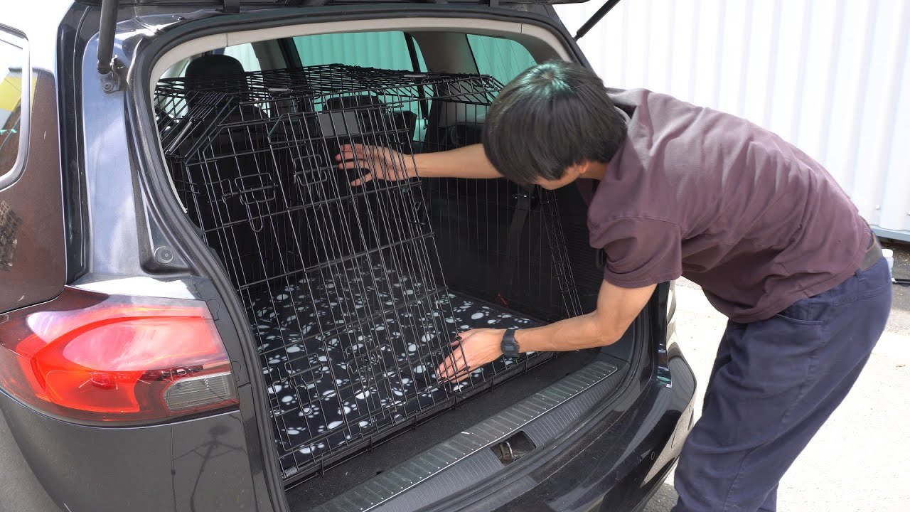 How to Choose and Install a Dog Crate for Your Estate Car