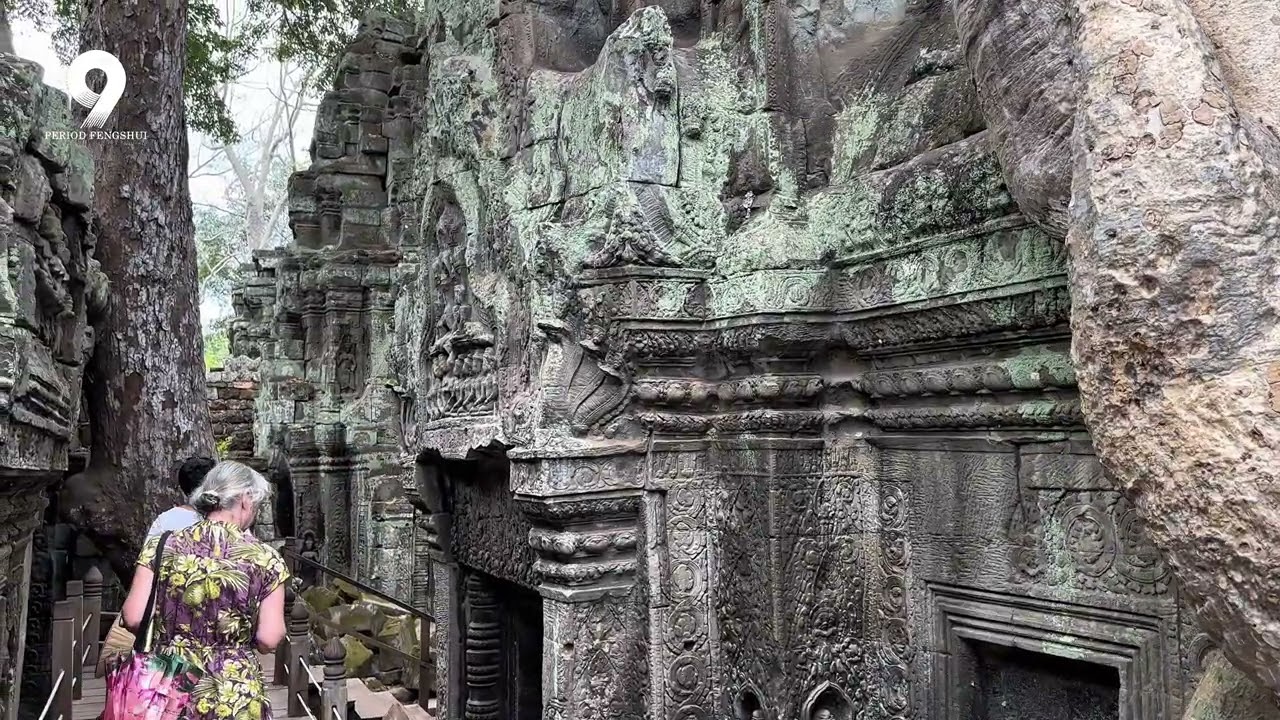 Ta Phrom Temple In Siem Reab Cambodia 🇰🇭 #fypchallenge#fypシ#fyp#viralreelsシ