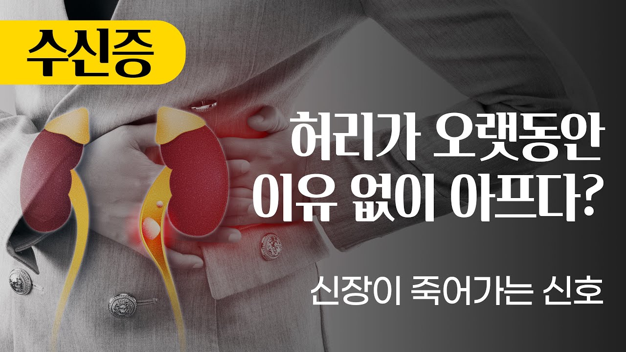 원인 없이 오래가는 허리 통증, 신장이 보내는 위험신호일 수 있습니다 (수신증)