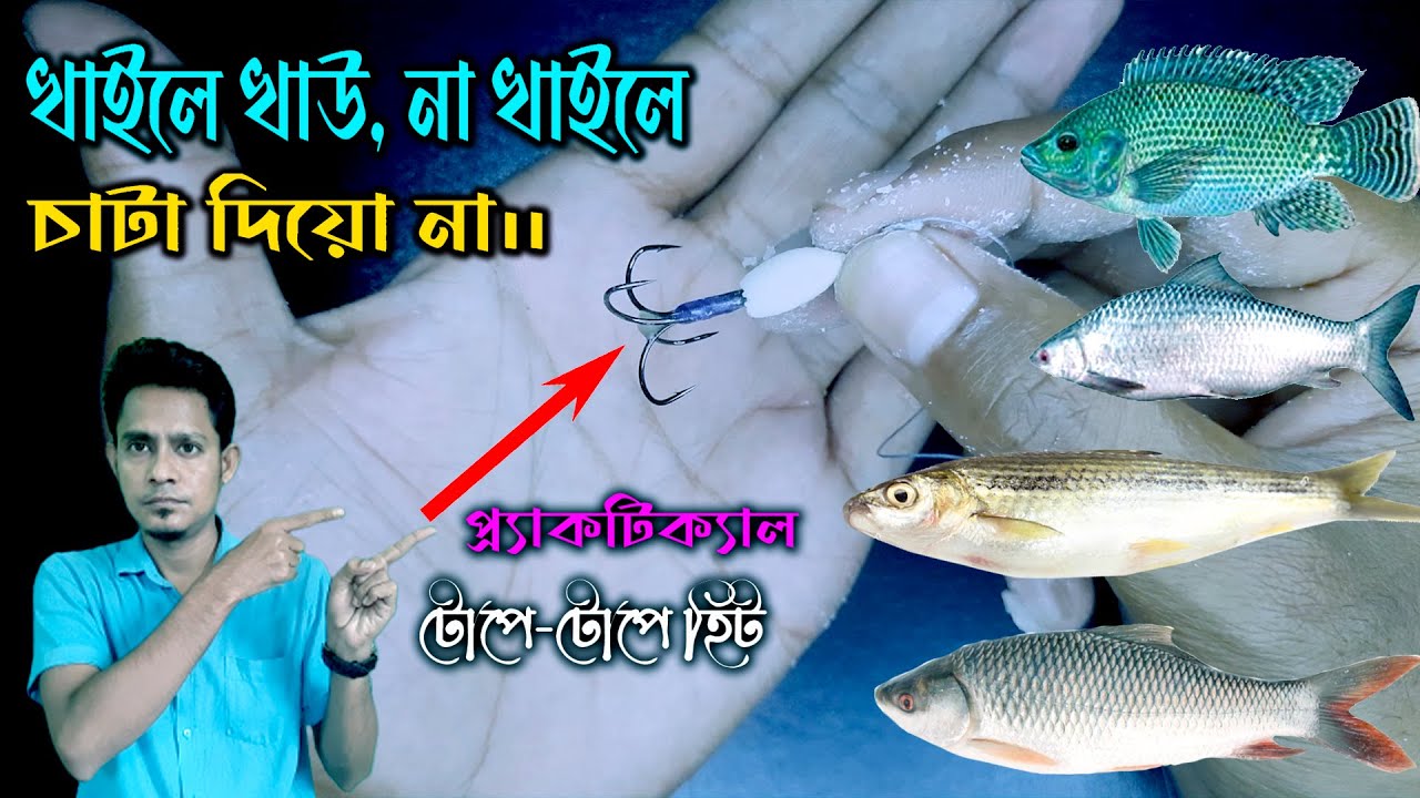 Best fishing technique 2024 || 4 hook fishing || টাটকিনি, মৃগেল, বাটা, তেলাপিয়া || hook fishing bd |