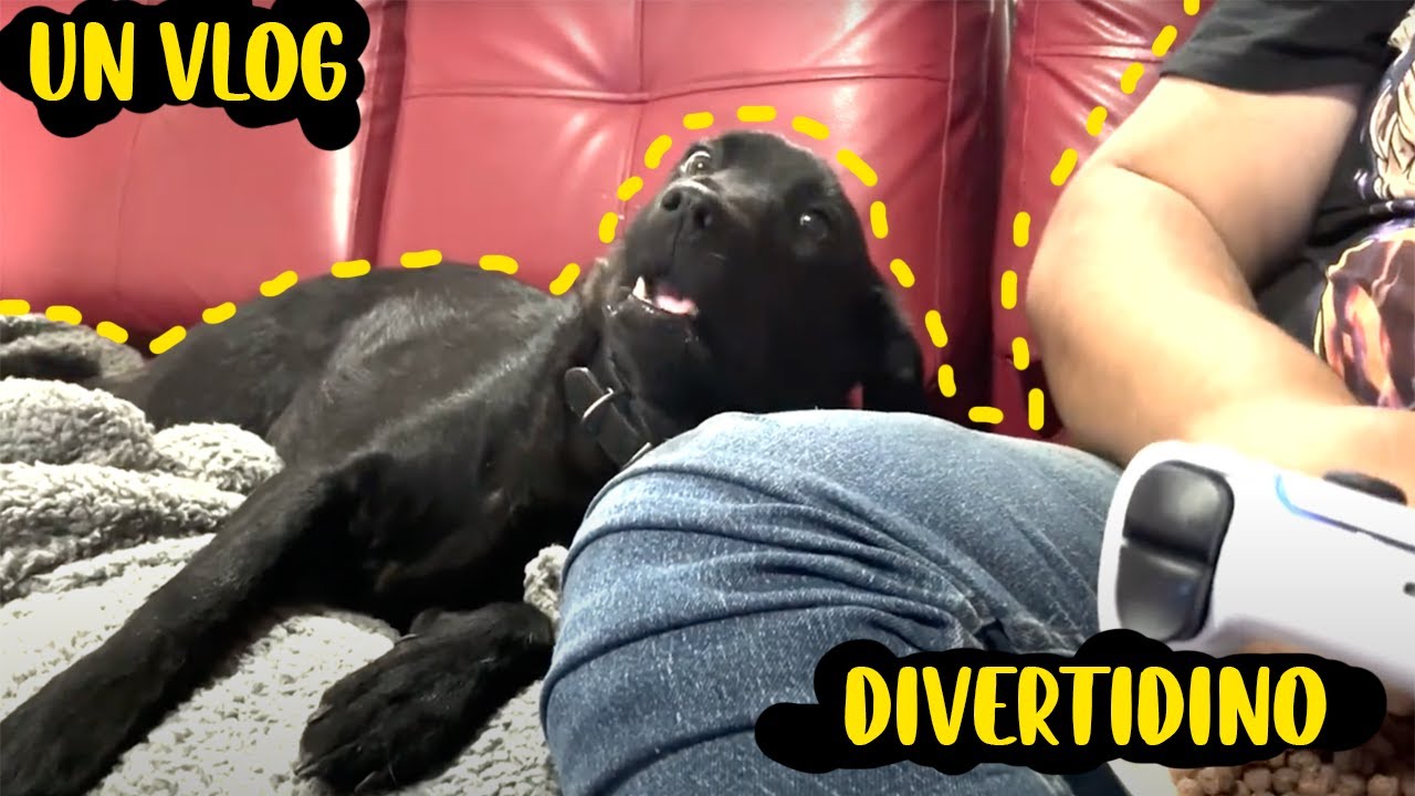 VLOG ENTRETENIDO XDXD - EMMA EMILIANA
