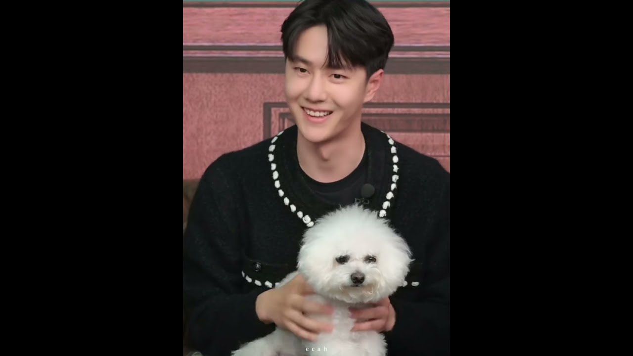 Wang Yibo with Never the cute dog 🐶 on the livestream