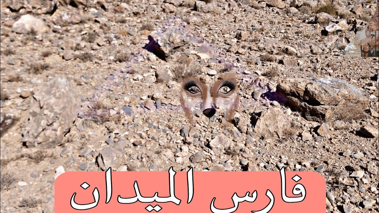 التحويطات الثمينة + التحويطات التمويهية...،،، بئر مدفني...،،، فيديو غني بالأسرار🏺🏺🏺