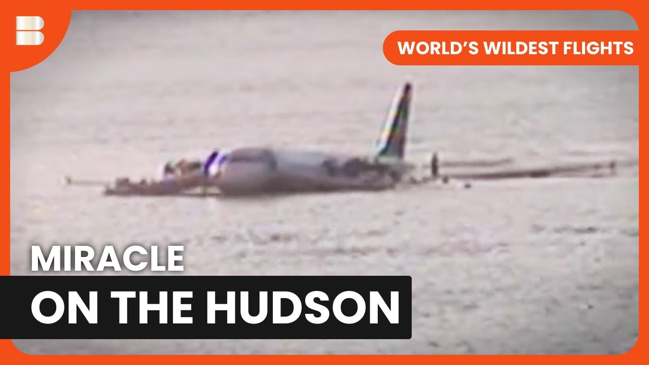 Flight 1549's Daring Water Landing - World's Wildest Flights - S01 EP05 - Airplane Documentary