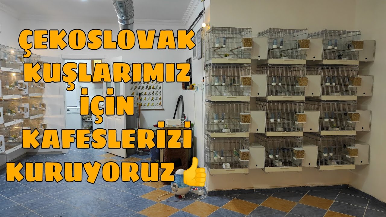 Yeni Muhabbet Kuşu Kafeslerimizin Montajını Yaptık